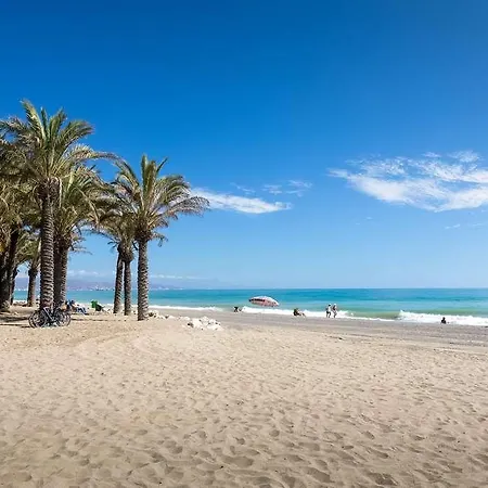 Occidental Playa *